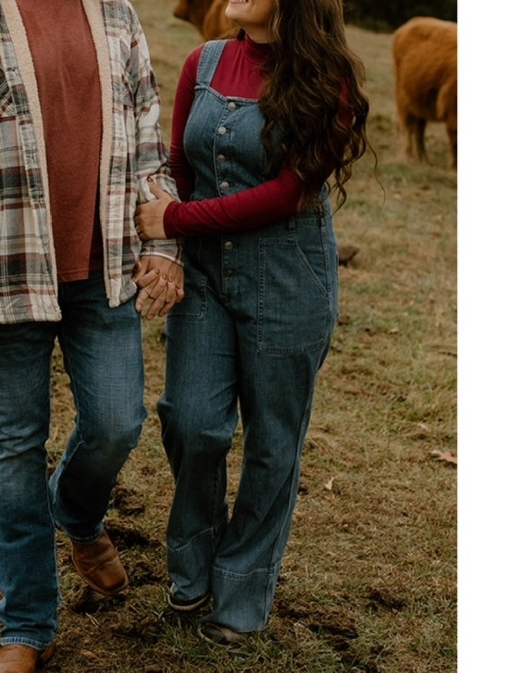 aerie Denim Overalls